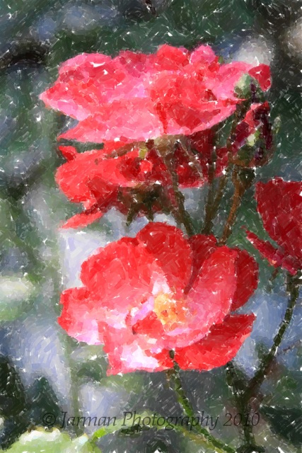 rose impressionism